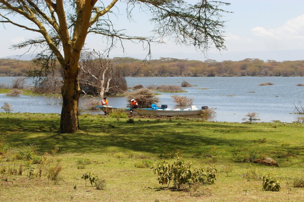 6 Days Tsavo East, Amboseli, Lake Naivasha, Masai Mara