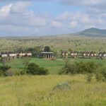 5 Days Tsavo East, Taita Hills Sanctuary, Tsavo West & Amboseli