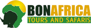 Bonafrica Tours and Safaris