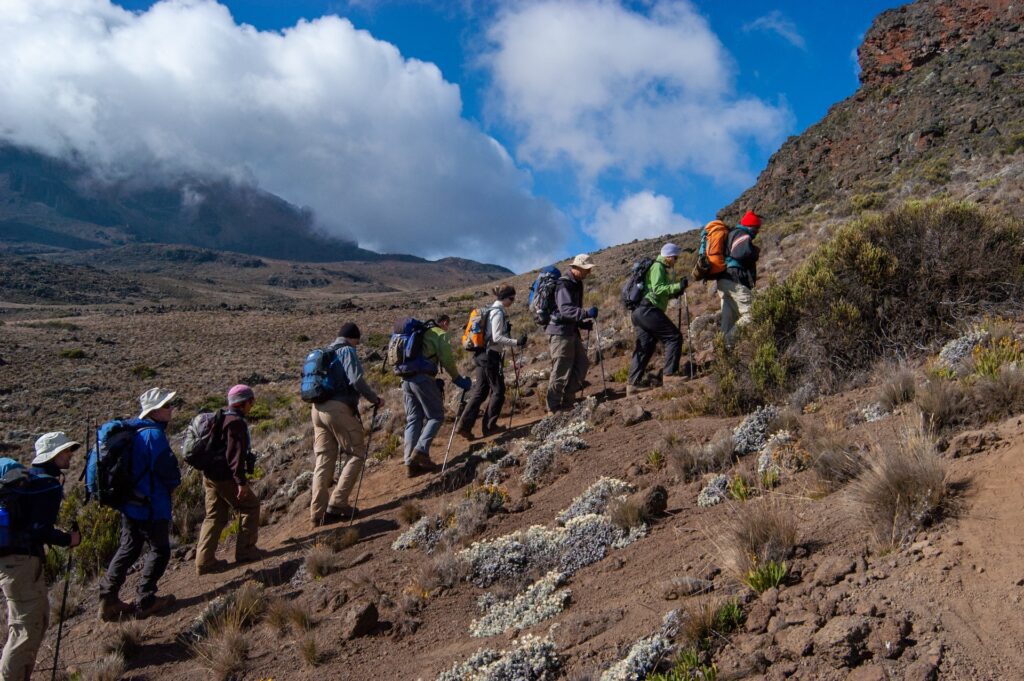 Mount Kilimanjaro Climbing Rongai Route (7 Days) The Rongai