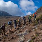 Mount Kilimanjaro Climbing Rongai Route (7 Days) The Rongai