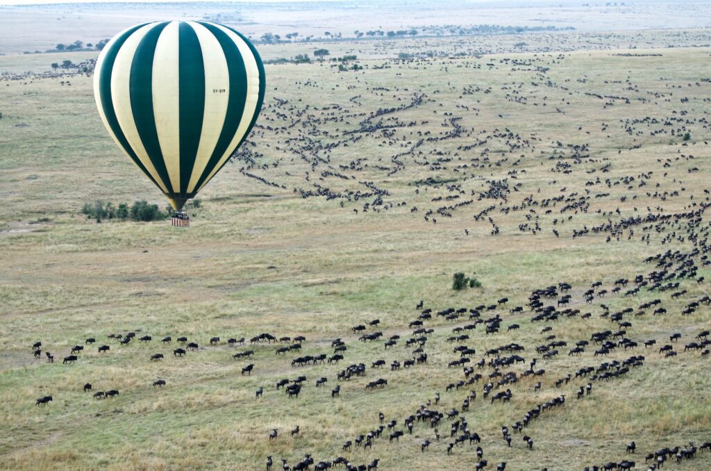 Masai Mara & Nakuru Budget Safari (4 Days) A budget safari