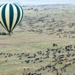 Masai Mara & Nakuru Budget Safari (4 Days) A budget safari