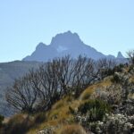 6 Days Mt Kenya Climbing: Sirimon – Naro Moru With Peak Circuit