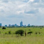 Nairobi National Park Half Day Tour Option 1 -Morning Game drives