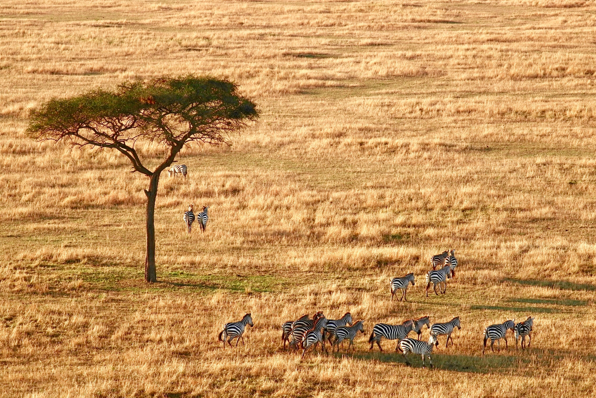 Kenya & Tanzania Group Joining Safari (10 Days ) From $1,500 PP