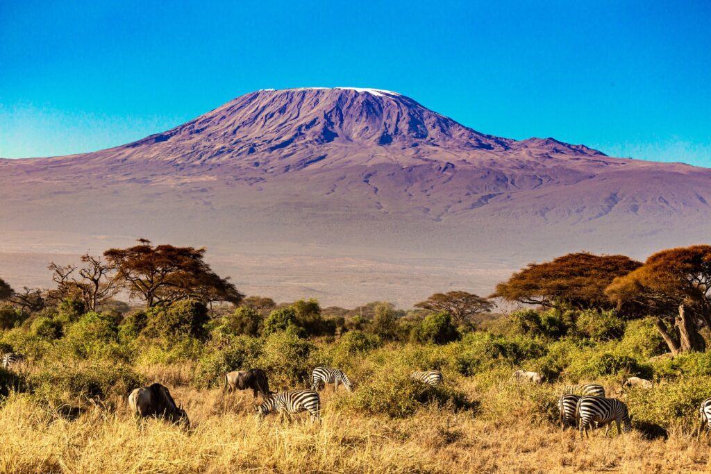 Mombasa To Amboseli 3 DaysThis is a 3 Days Safari