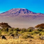 Mombasa To Amboseli 3 DaysThis is a 3 Days Safari